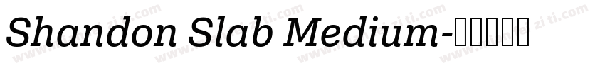 Shandon Slab Medium字体转换